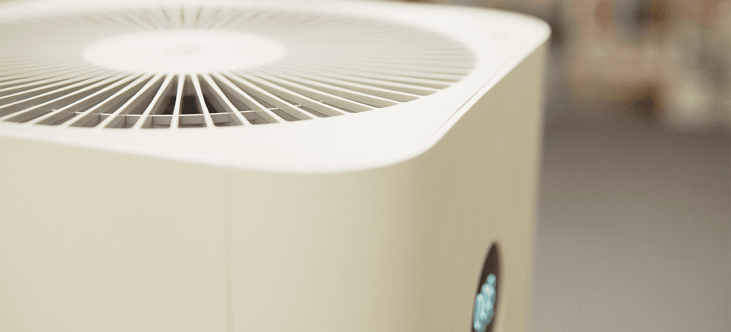 Indoor Air Quality (IAQ) Assessment