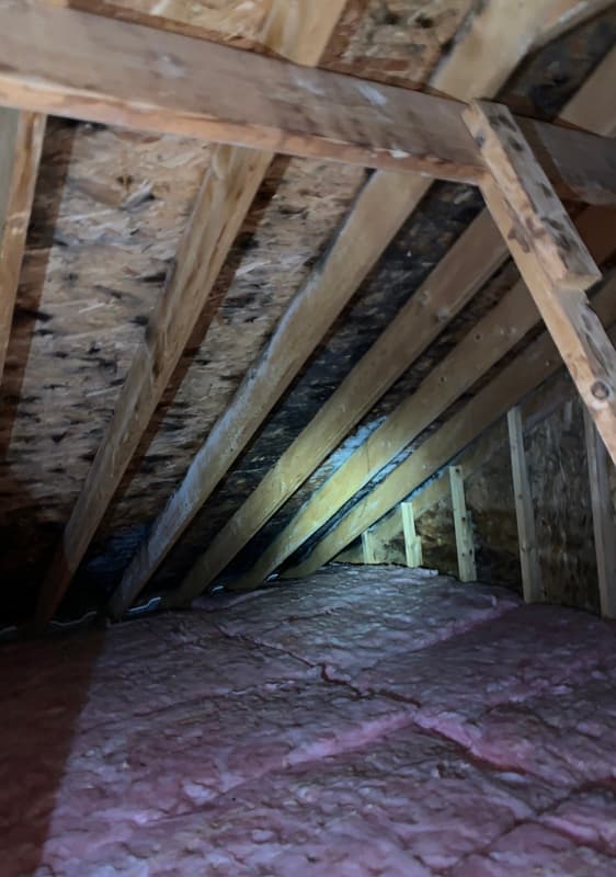 Lead Paint Inspection & Risk Assessment
