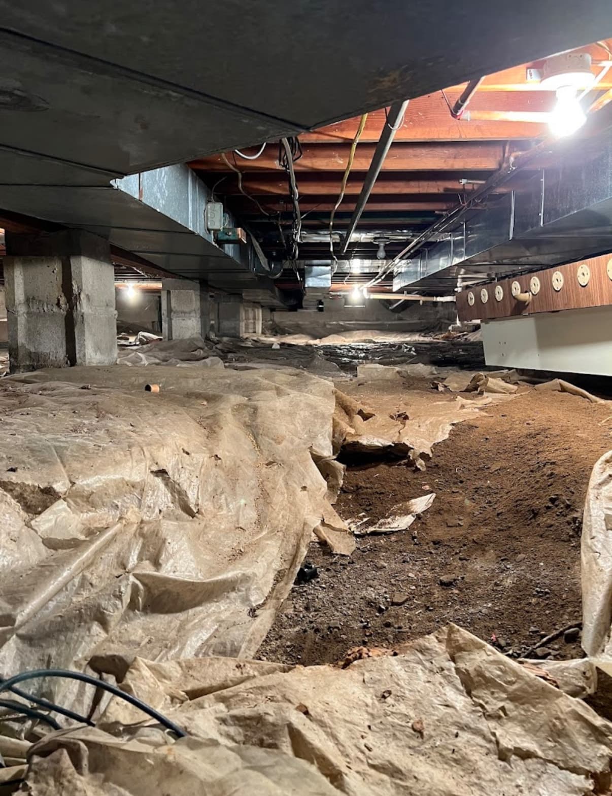 Ice-dam basement Stachybotrys discovery resolves a stalled insurance claim, Buffalo NY