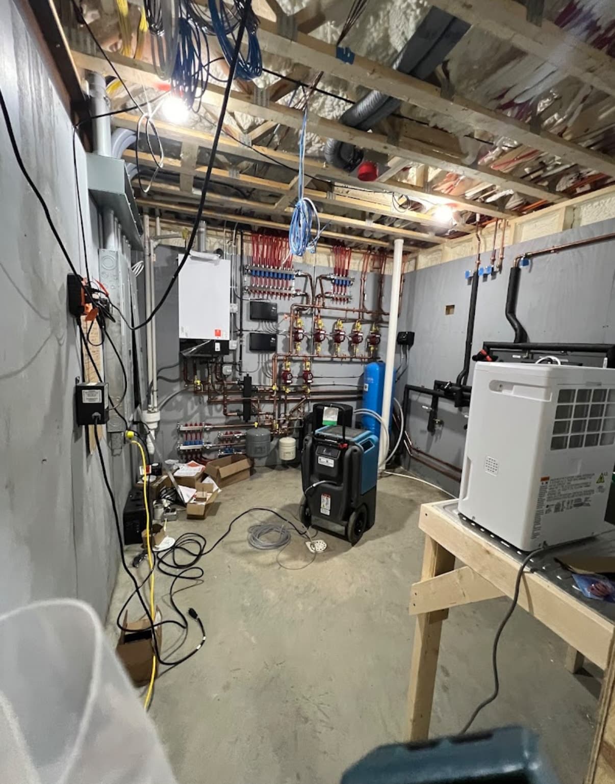 Mold Testing for Insurance Claims
